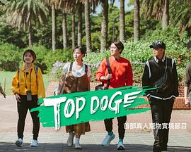 黄色短视频《TOP DOG》免费在线观看