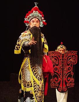 黑料app《袁崇焕2009》免费在线观看