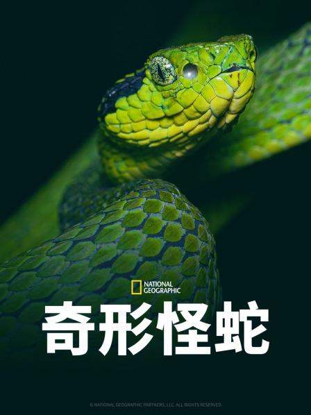 黑料app《奇形怪蛇》免费在线观看